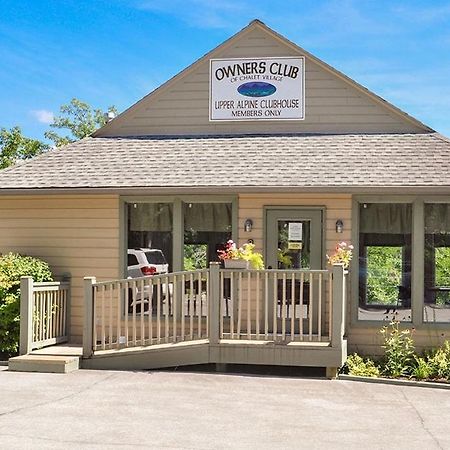 Night Owl Cabin Villa Гетлинбург Екстериор снимка